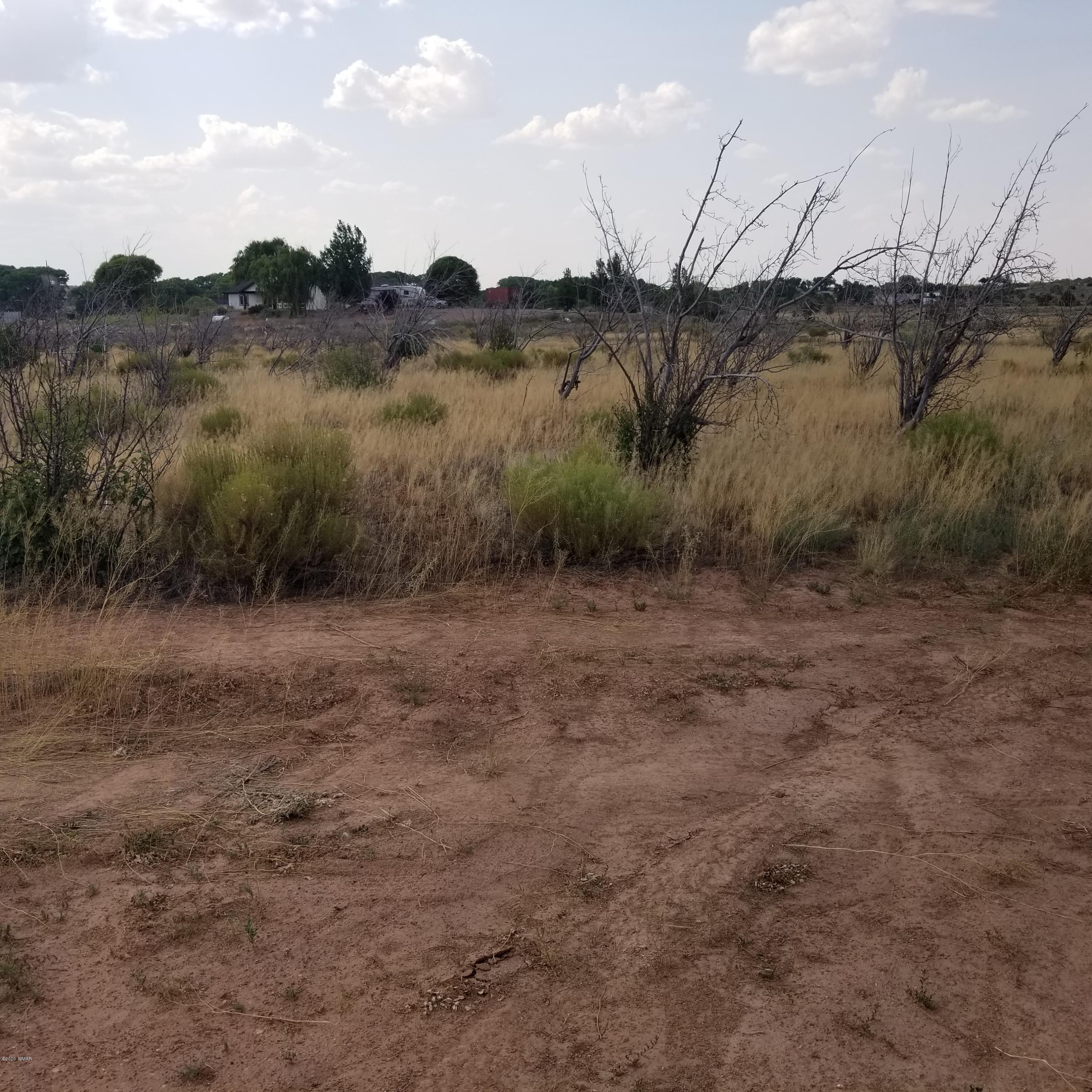 5-ac 5-ac 404-03-012r / Bourdon Ranch Road Taylor, AZ 85939 - Photo 9 of 10