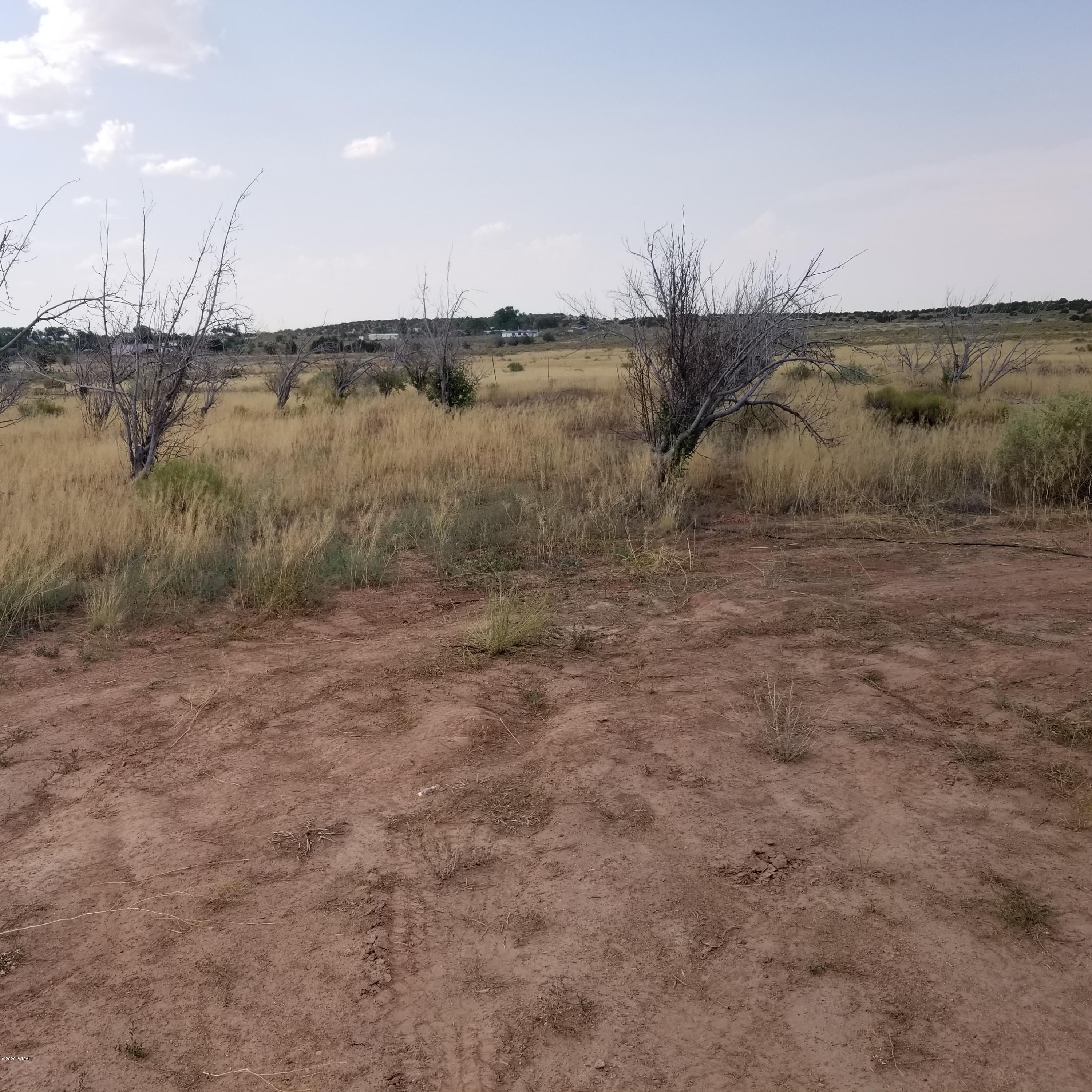 5-ac 5-ac 404-03-012r / Bourdon Ranch Road Taylor, AZ 85939 - Photo 10 of 10