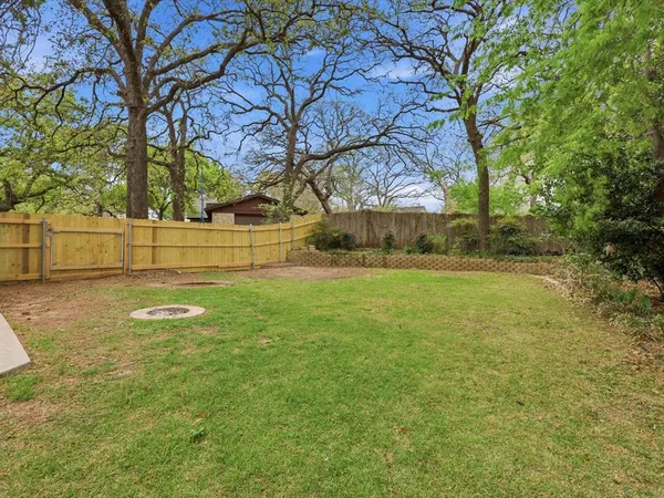 a view of yard with tree s