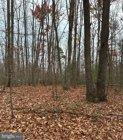 $98,000 | Woodland Church Road, Culpeper, VA 22701