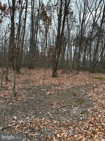 $98,000 | Woodland Church Road, Culpeper, VA 22701