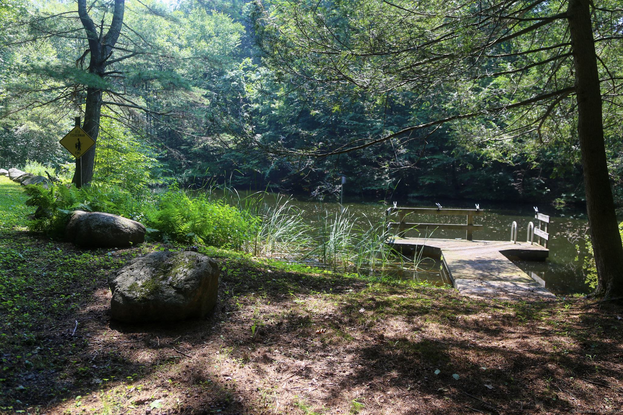 189 Crane Hollow Road Bethlehem, CT 06751 - Photo 29 of 40 a view of a backyard with plants and a large tree