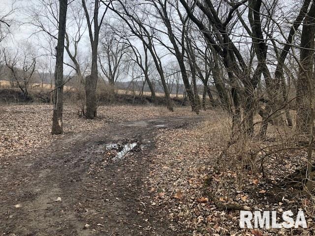 Lot D River Road Danvers, IL 61732 - Photo 3 of 3