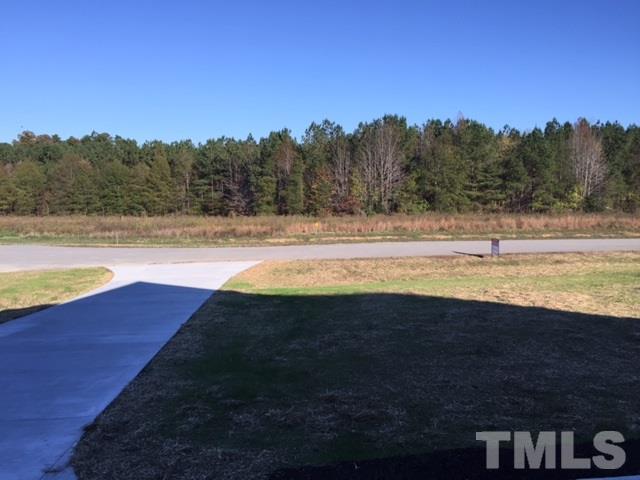 101 Open View Lane Timberlake, NC 27583 - Photo 20 of 22