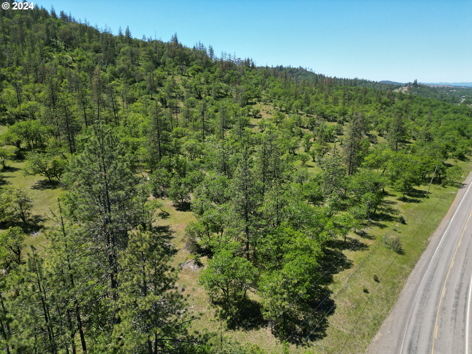 East Antelope Road, Unit TL201 Eagle Point, OR 97524 - Photo 1 of 11 a view of a green field with a mountain in the background