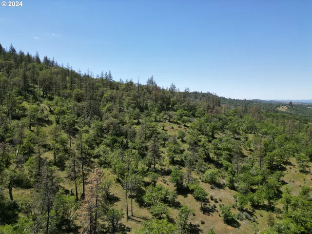 a view of a field of grass and trees