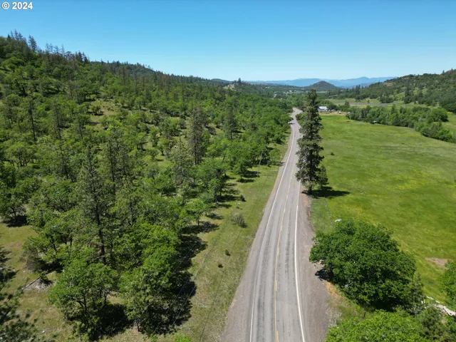 a view of a forest with a street