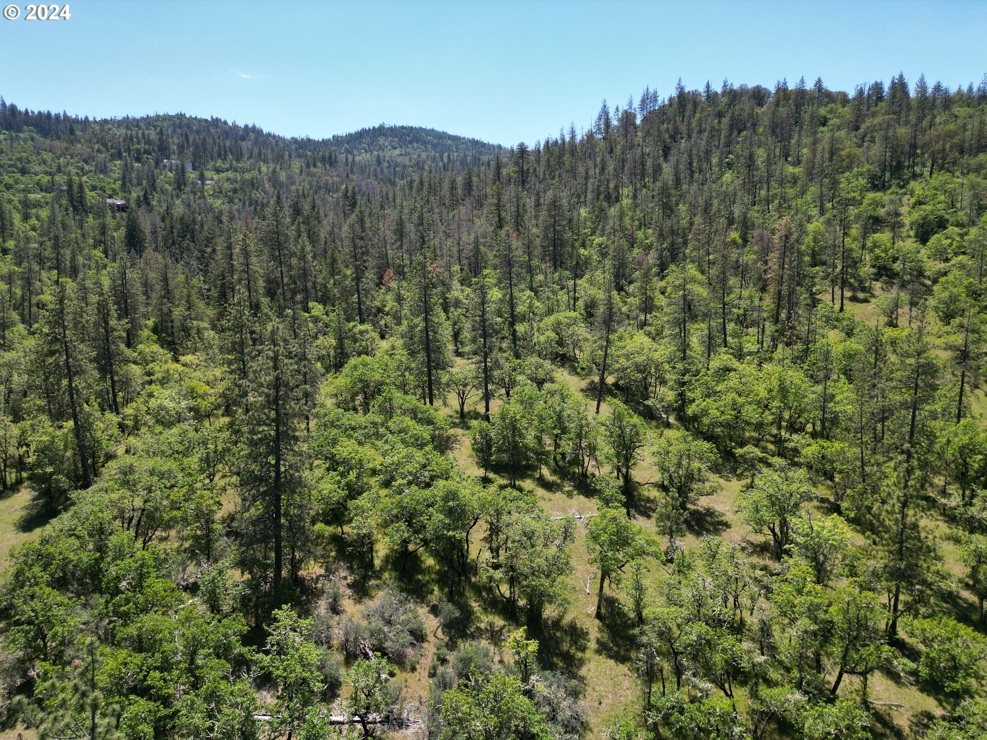 East Antelope Road, Unit TL201 Eagle Point, OR 97524 - Photo 9 of 11 a view of a lush green forest with trees in the background