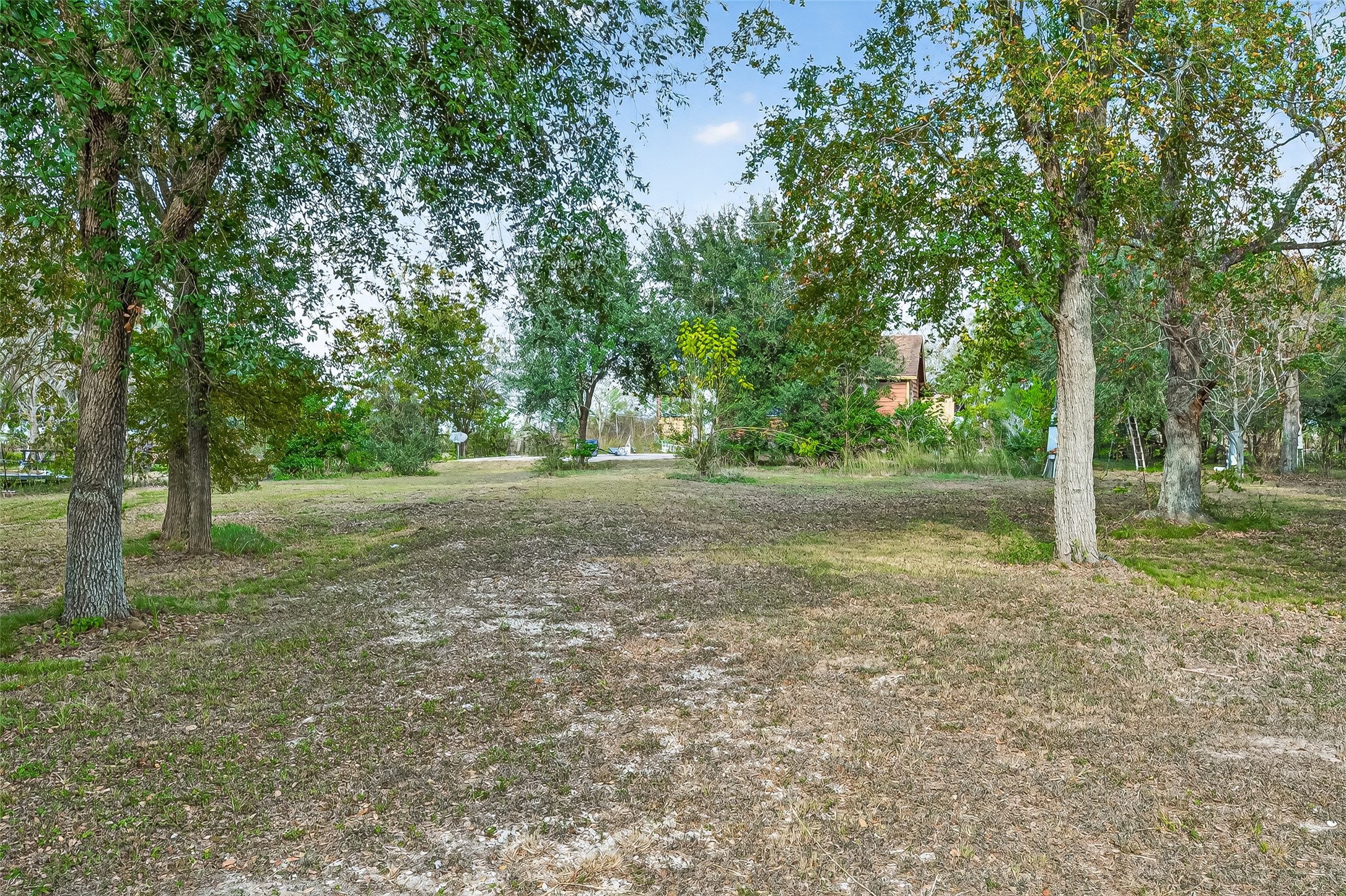 0 Quail Trail Beasley, TX 77417 - Photo 20 of 25