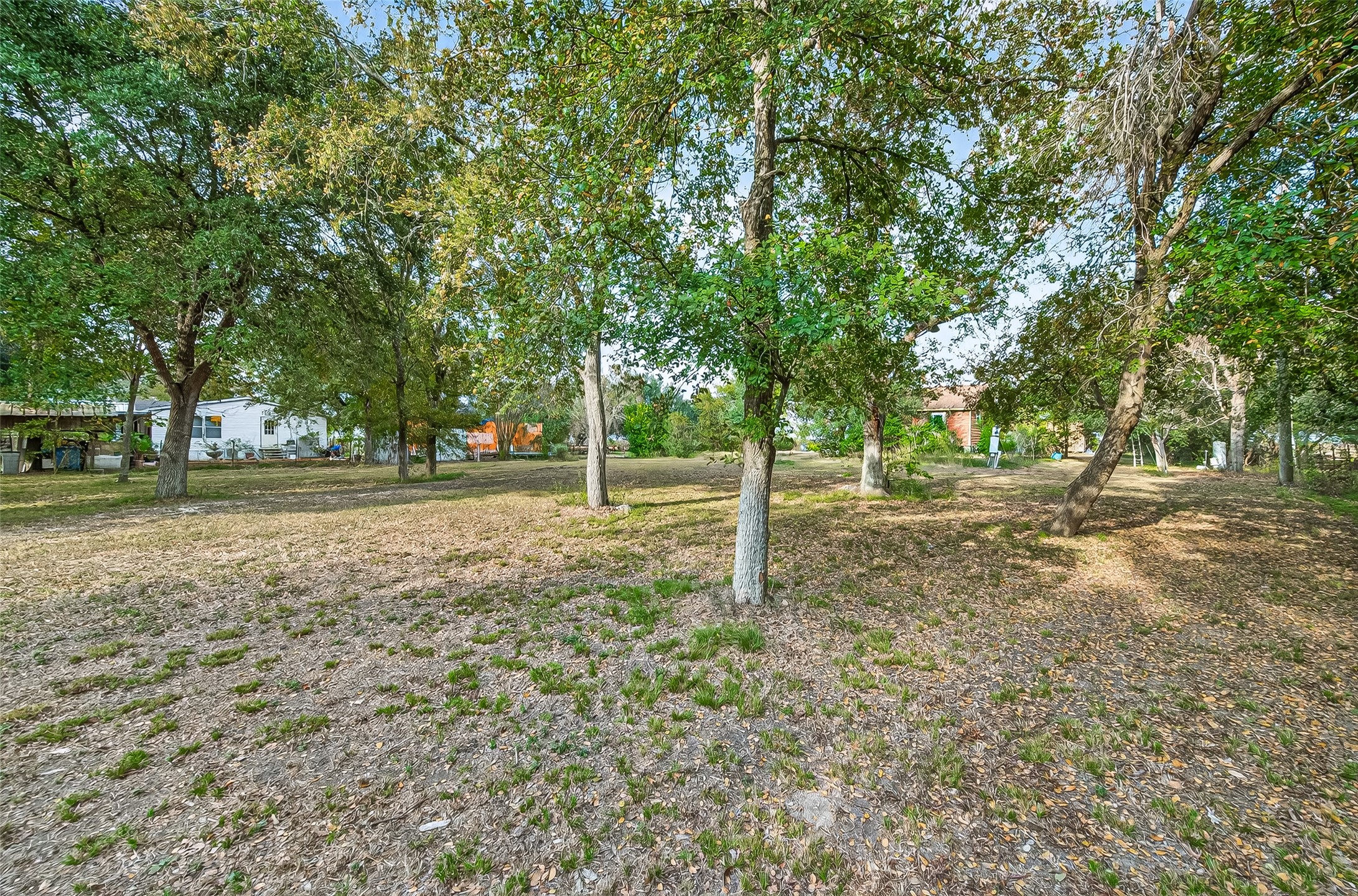 0 Quail Trail Beasley, TX 77417 - Photo 21 of 25