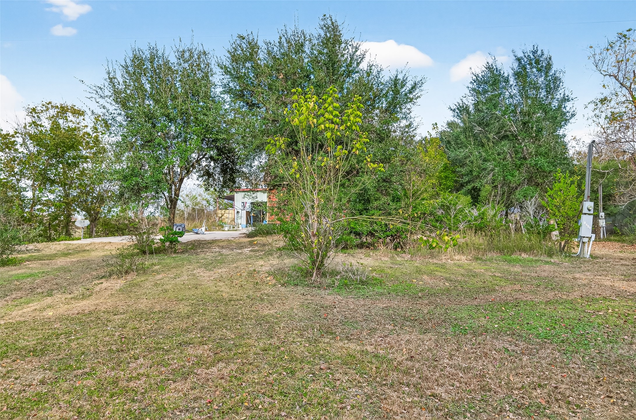 0 Quail Trail Beasley, TX 77417 - Photo 25 of 25