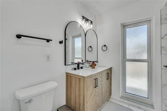 a bathroom with a sink a toilet and a mirror
