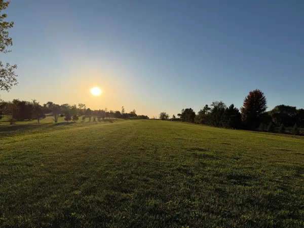 a view of an ocean from a yard