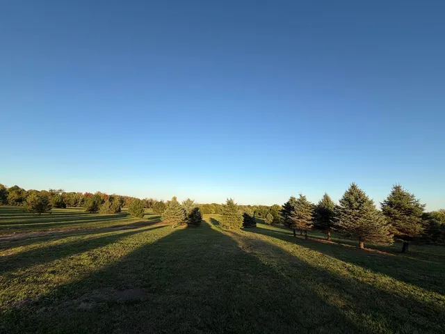 a view of a road with an ocean view