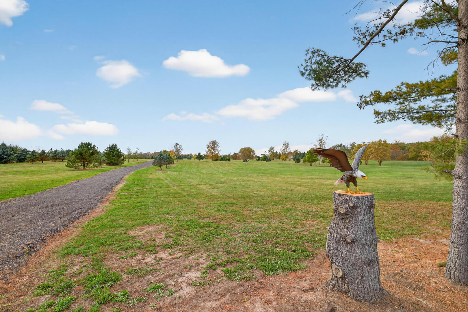 3703 Millstream Road Marengo, IL 60152 - Photo 40 of 41 a view of a lake with a big yard