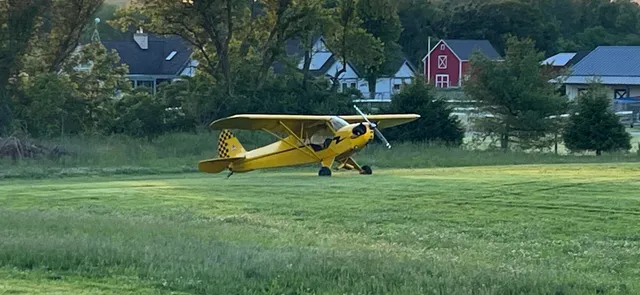a childrens park with lots of swings and slides