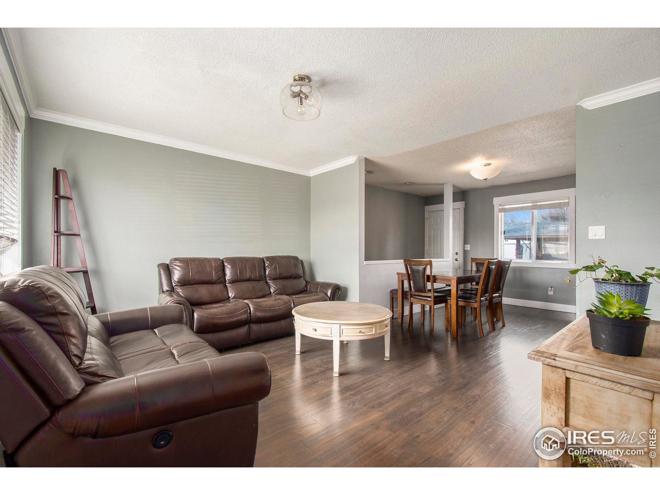3231 West 5th St Road Greeley, CO 80634 - Photo 5 of 31 a living room with furniture and wooden floor