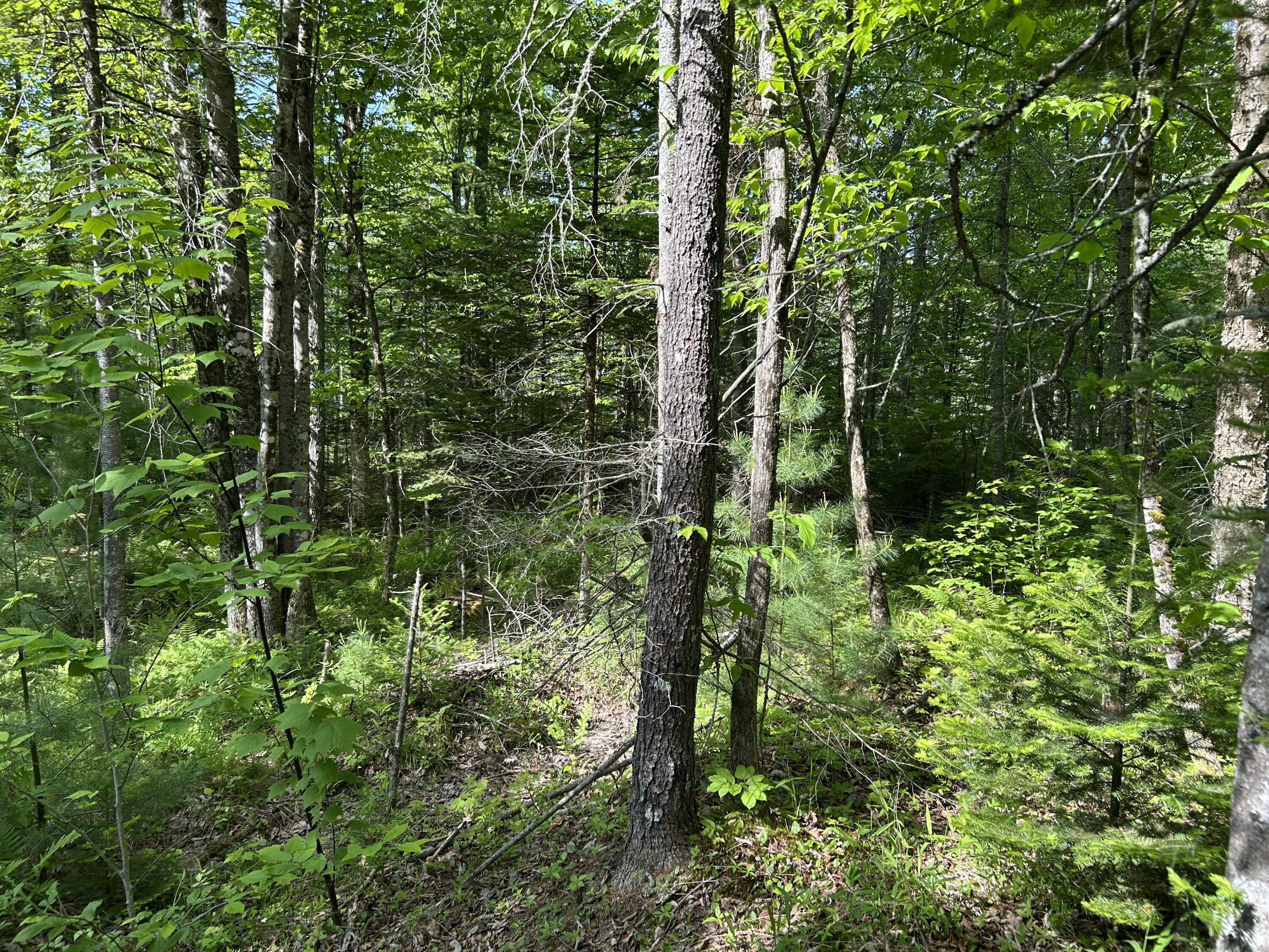 M5-l13 Clark Road Prospect, ME 04981 - Photo 3 of 33 IMG_8815