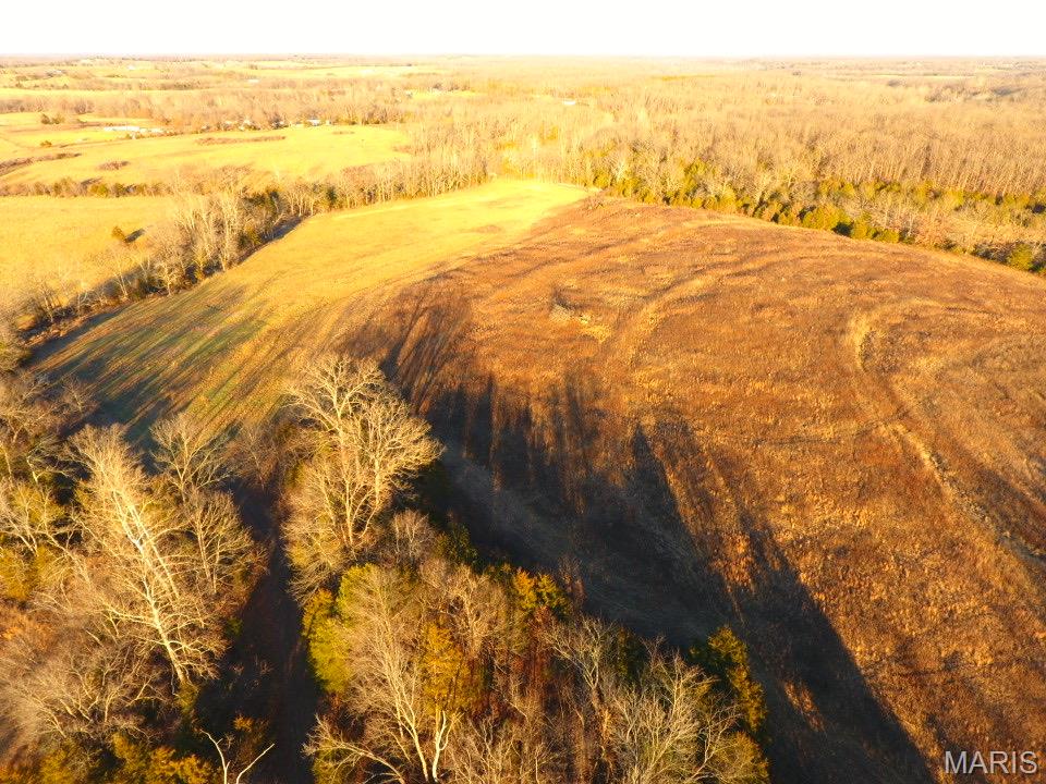 Tbd Van Horn Road Bland, MO 65014 - Photo 37 of 47