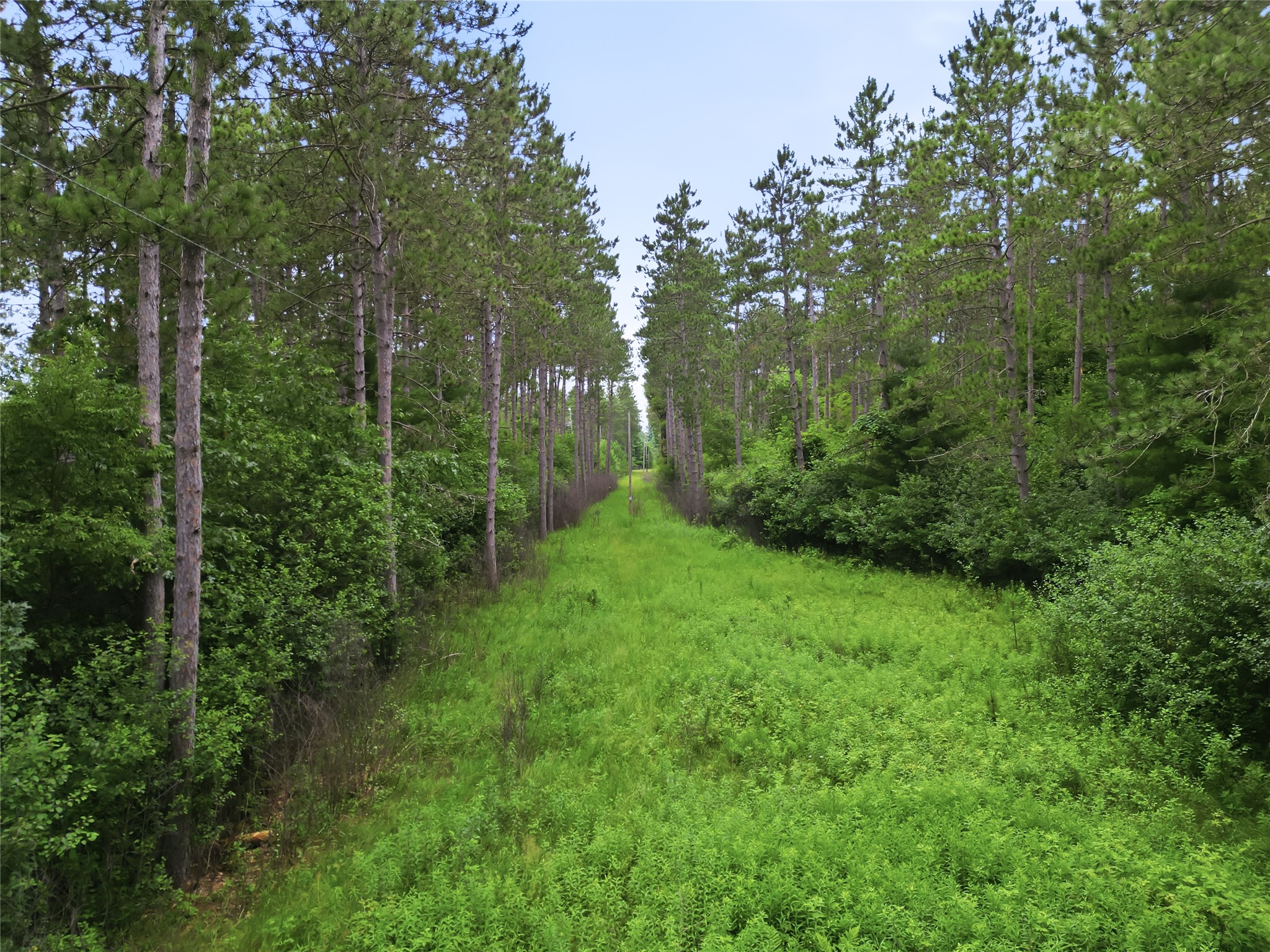 0 West Road Black River Falls, WI 54615 - Photo 20 of 43