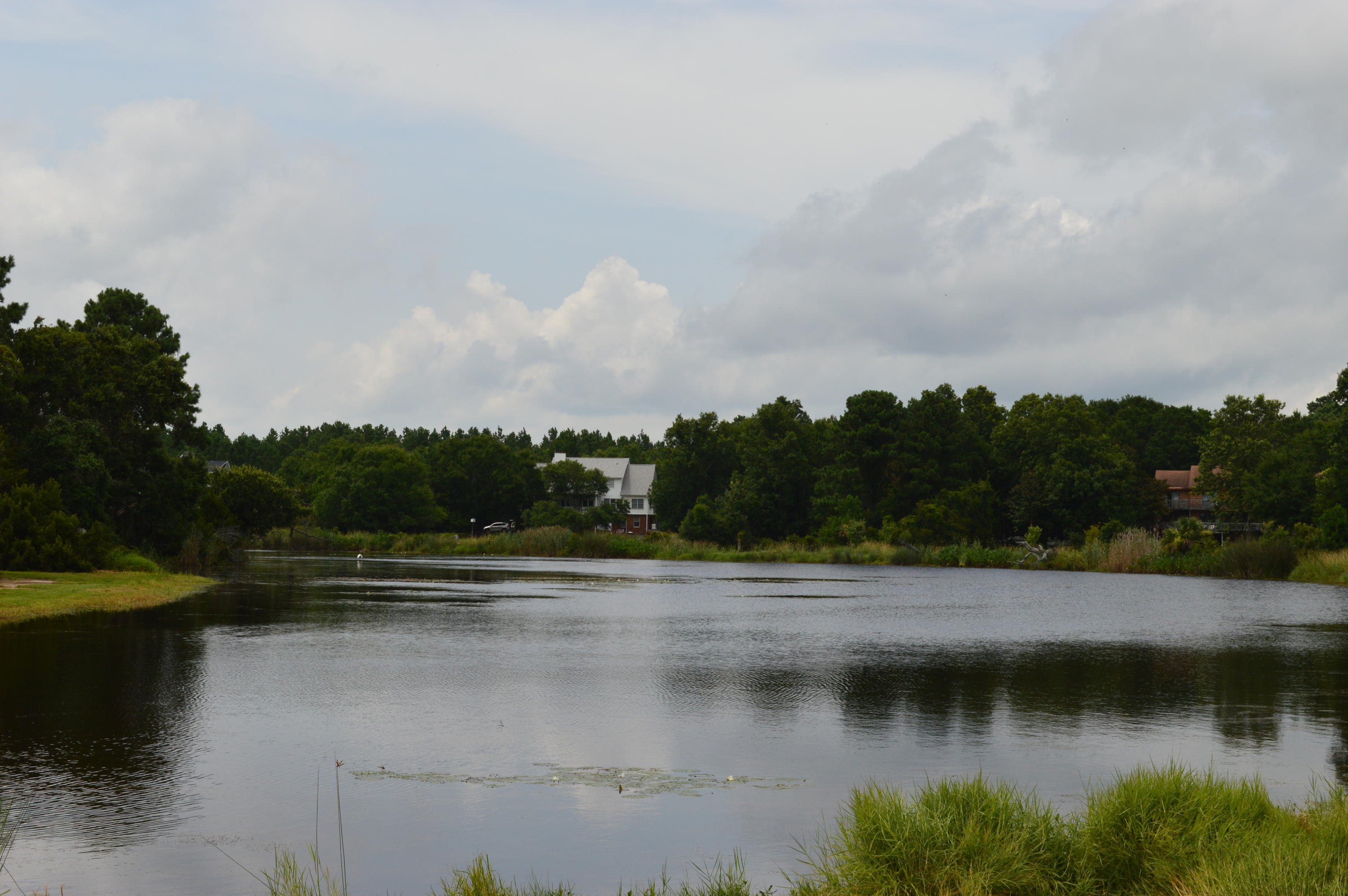 6212 Rudder Lane Awendaw, SC 29429 - Photo 31 of 34 DSC_0475
