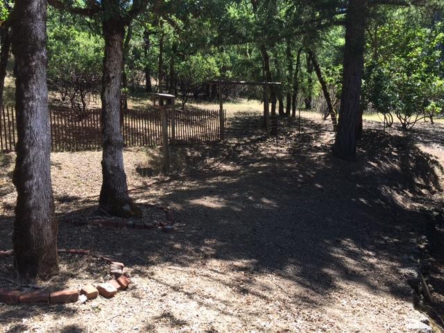1531 Van Duzen Road Bridgeville, CA 95526 - Photo 11 of 25