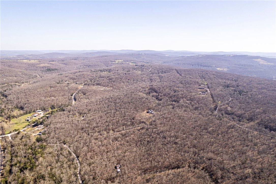 14203 Greenridge Road Fayetteville, AR 72701 - Photo 5 of 25 Expansive wooded terrain with rolling hills and scattered clearings