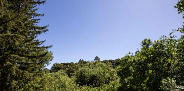 $5,298,000 | 25550 Moody Road, Los Altos Hills, CA 94022