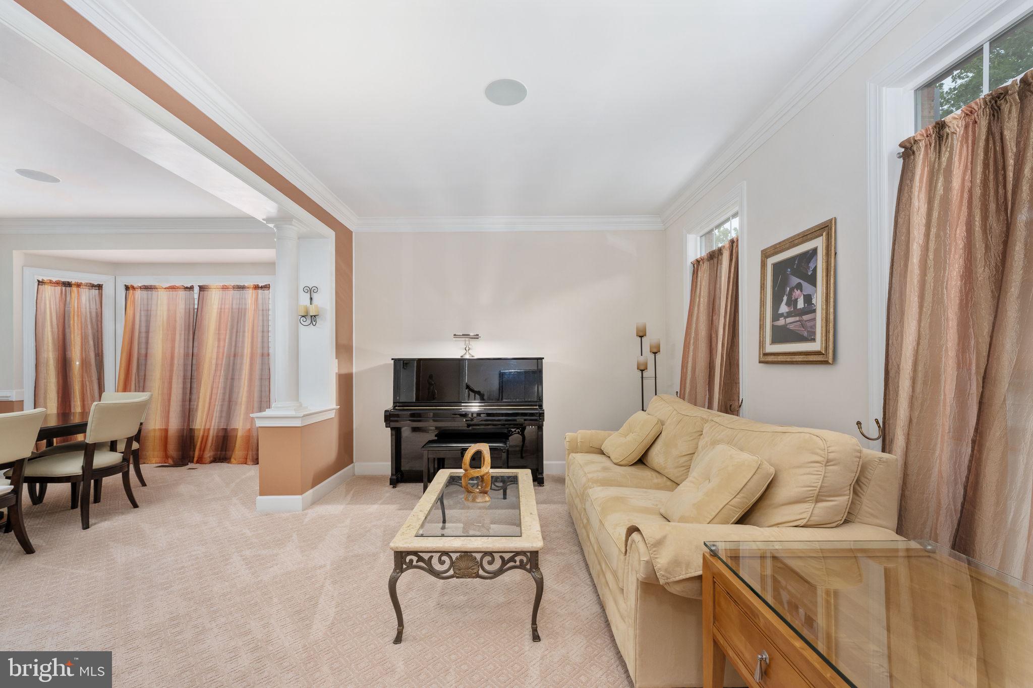 14541 Old Mill Road Centreville, VA 20121 - Photo 14 of 109 Elegant living space with natural light.