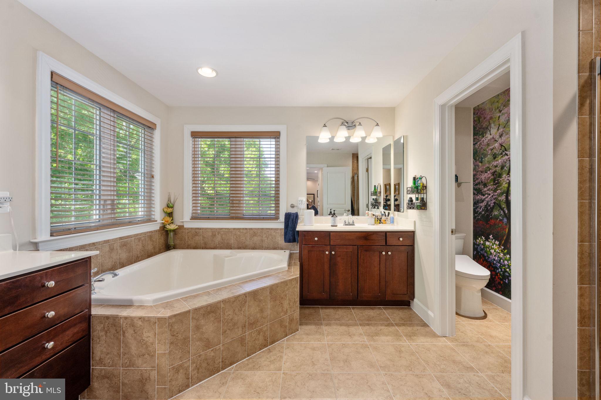14541 Old Mill Road Centreville, VA 20121 - Photo 55 of 109 Serene spa-like bathroom retreat.