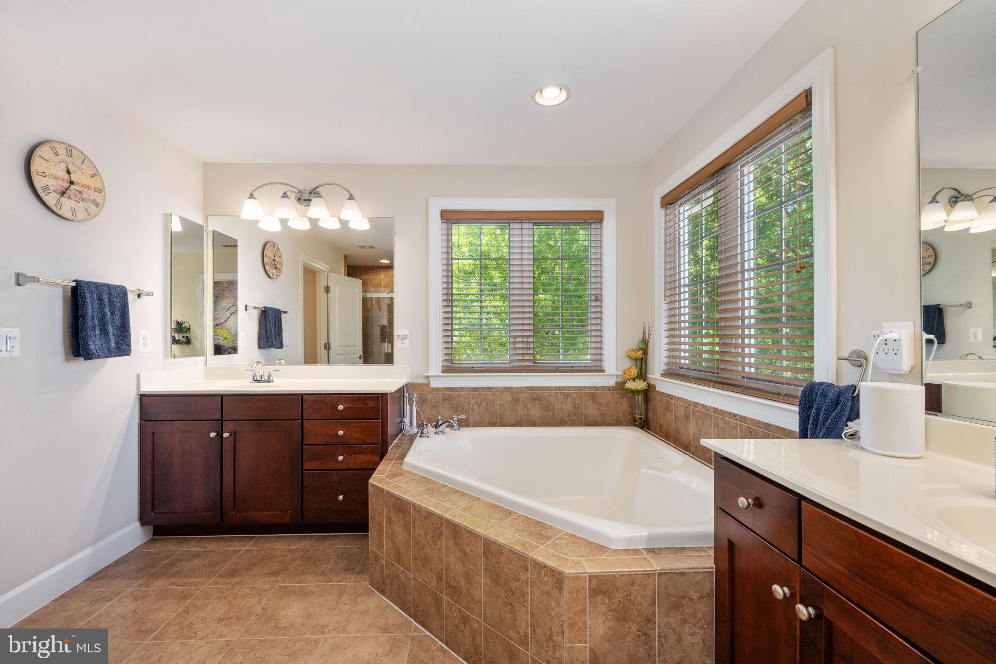 14541 Old Mill Road Centreville, VA 20121 - Photo 90 of 109 Serene spa-like bathroom retreat.