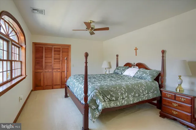 a view of a park with entertaining space