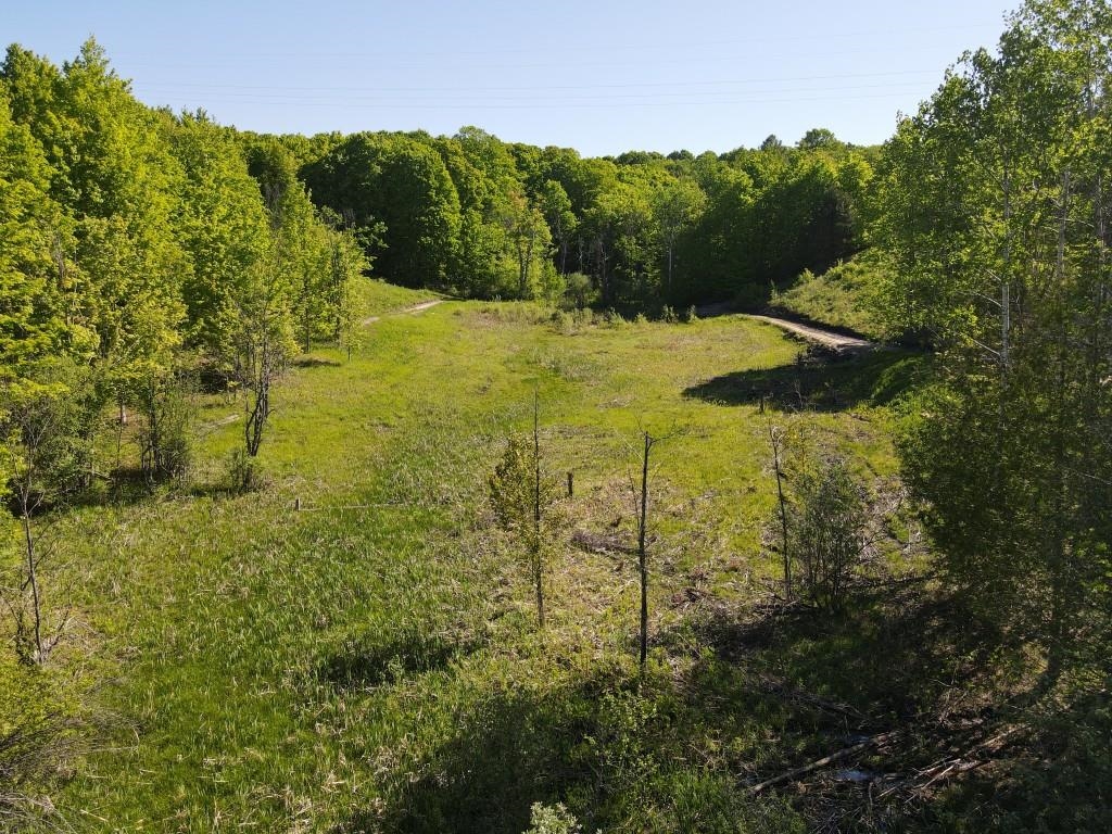 Tbd Pesek Road East Jordan, MI 49727 - Photo 18 of 28