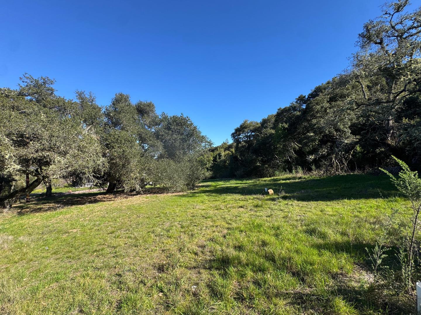 a view of swimming pool with an outdoor space