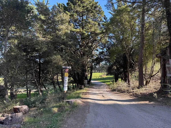 a view of street with trees