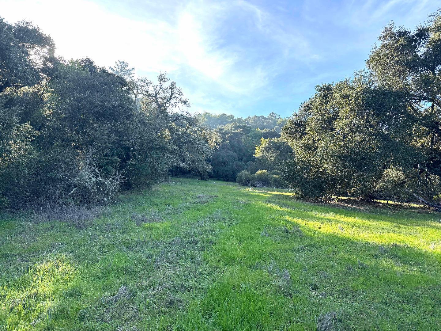 250 Heacox Road Woodside, CA 94062 - Photo 4 of 6 a view of a big yard with swimming pool and trees in the background