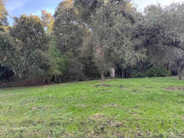 a view of a grassy field