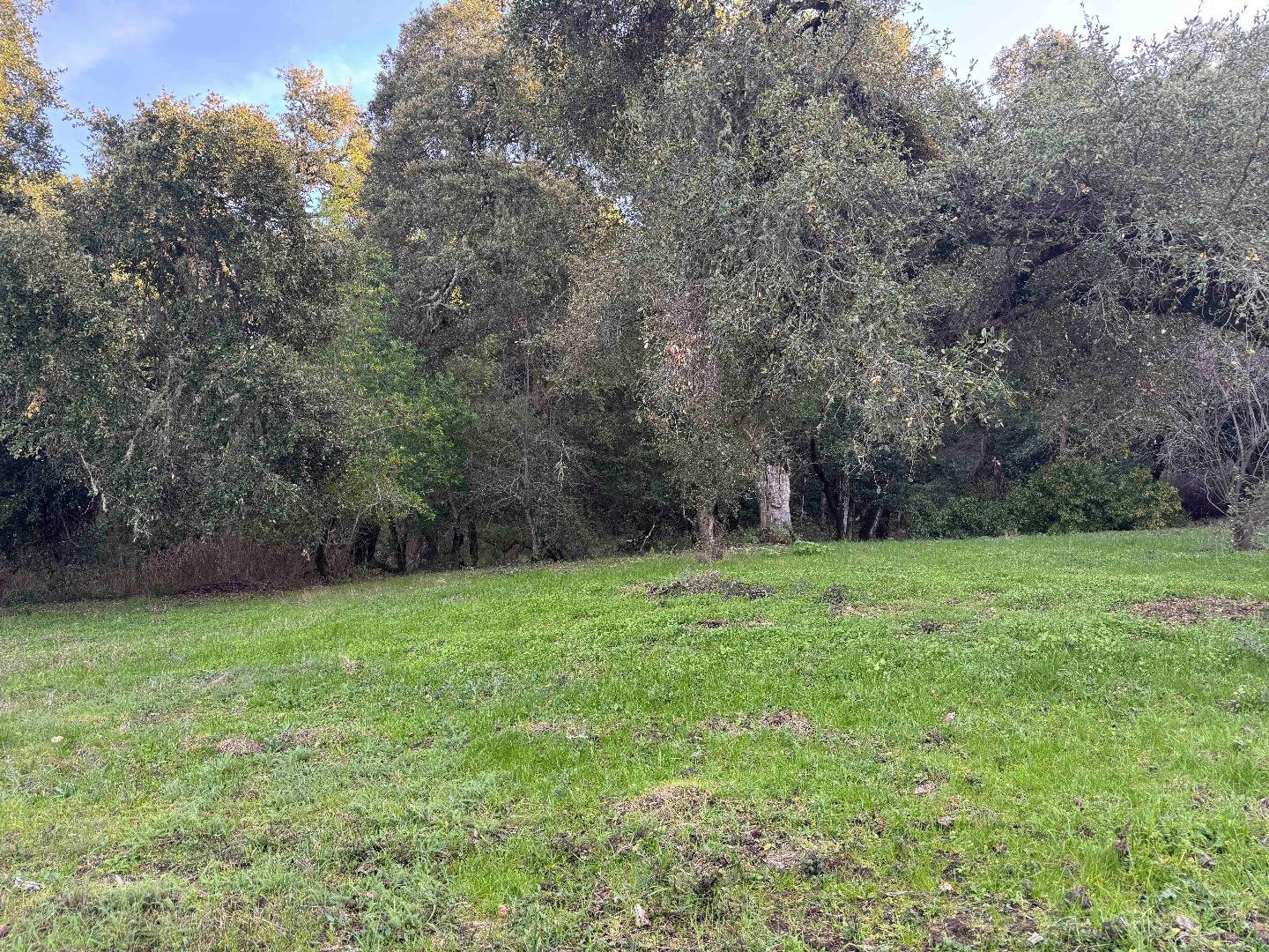 250 Heacox Road Woodside, CA 94062 - Photo 5 of 6 a view of a grassy field