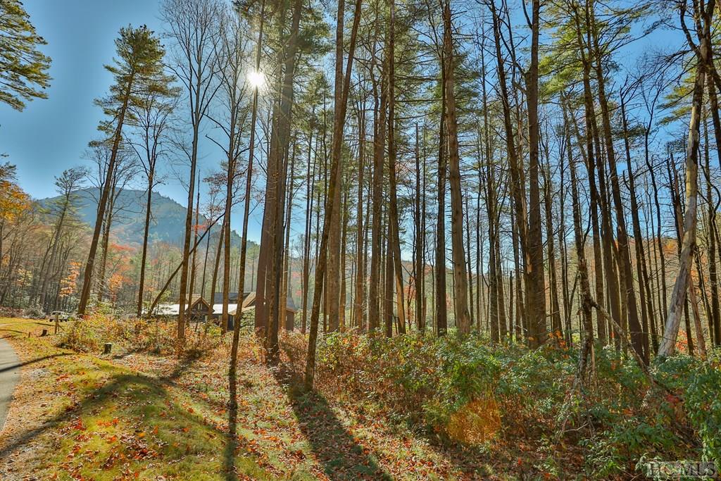 80 Flagstone Road Sapphire, NC 28774 - Photo 3 of 10 Gallery Image 3