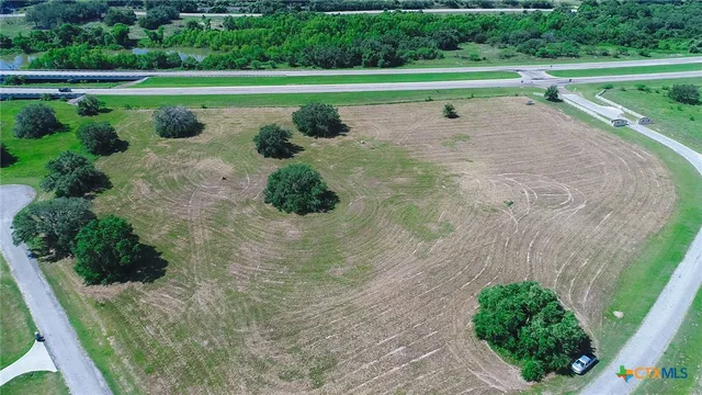 a view of a park with a large trees