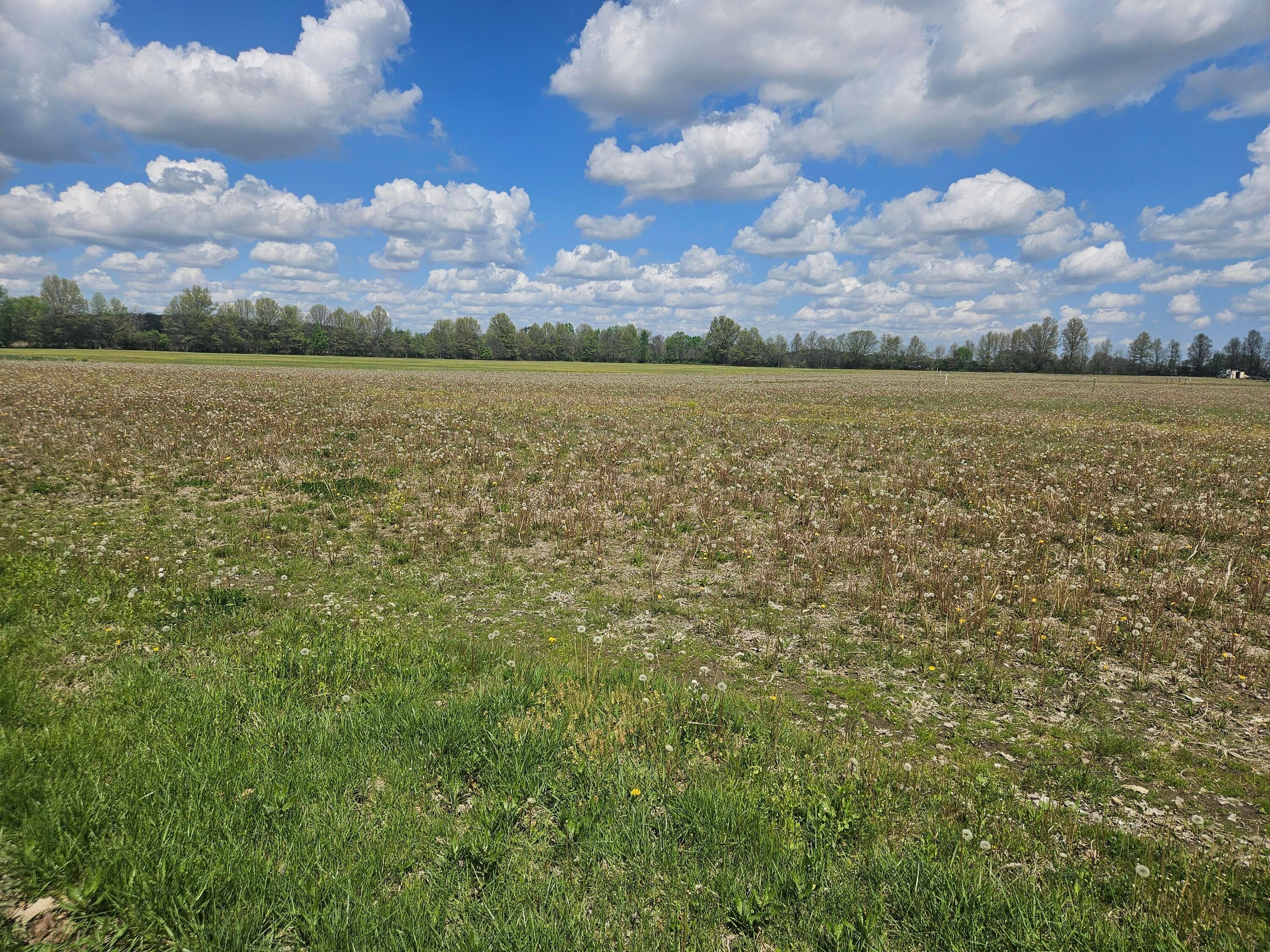 0 Ford Road, Unit TRACT 4 Delaware, OH 43015 - Photo 1 of 4 20260423_121302