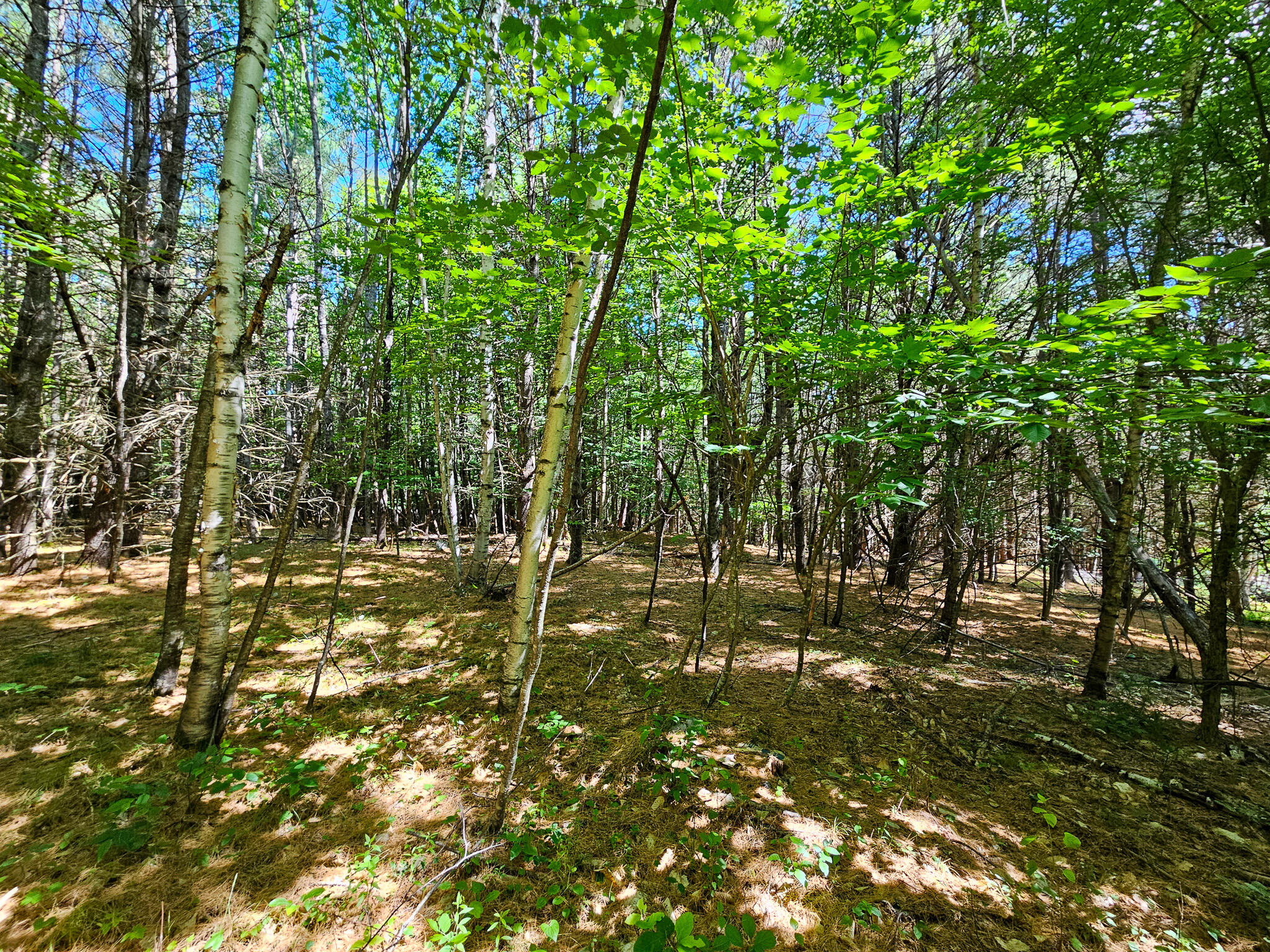 11-31-c Stone Hill Road Farmington, ME 04938 - Photo 11 of 22