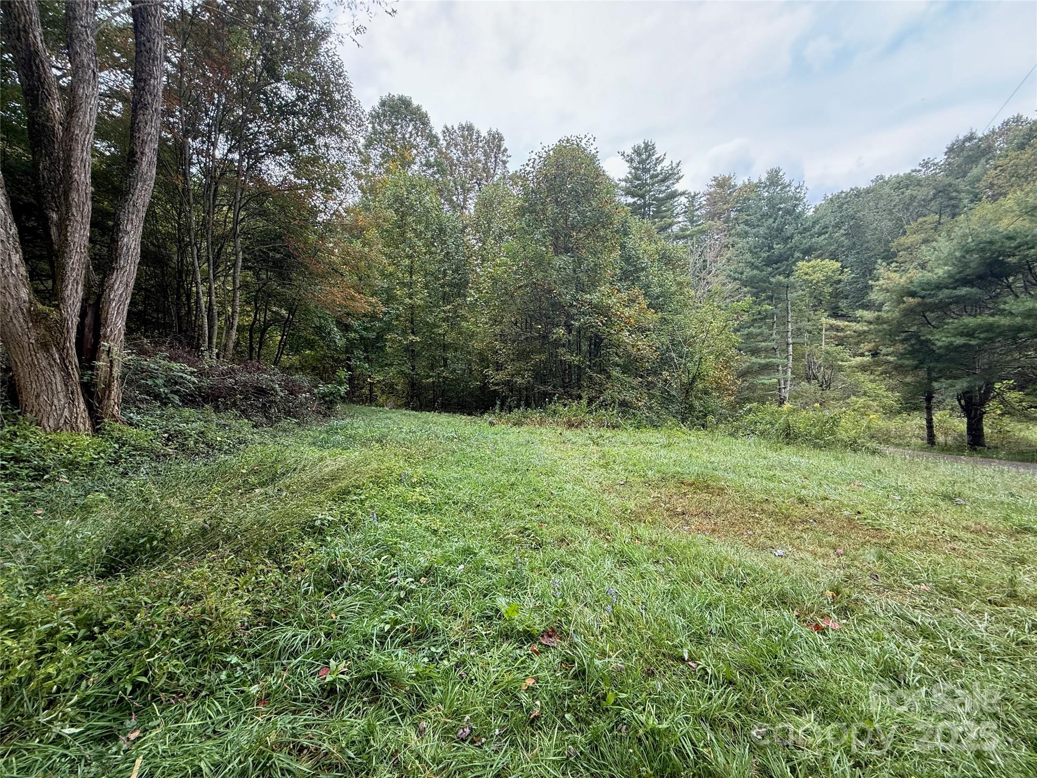 156 Fountain Springs Road Tuckasegee, NC 28783 - Photo 18 of 35