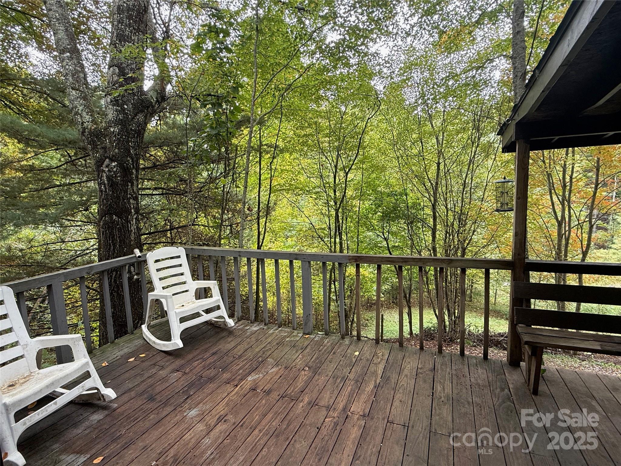 156 Fountain Springs Road Tuckasegee, NC 28783 - Photo 3 of 35