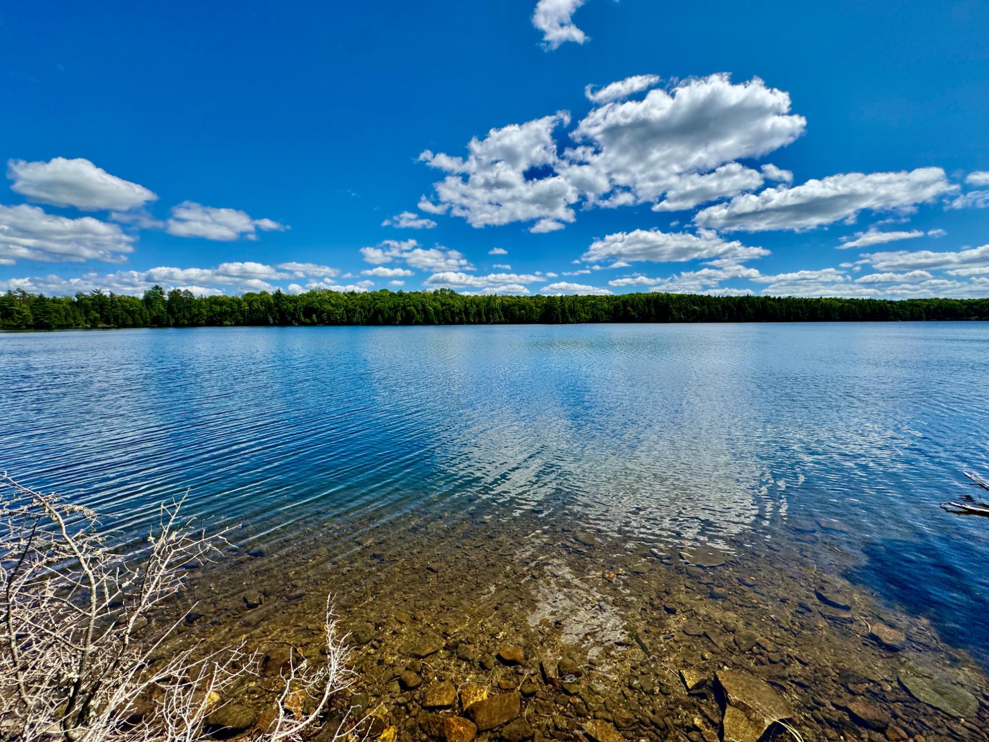 On Beatons Lake Road Watersmeet, MI 49969 - Photo 5 of 27 Gallery Image 5
