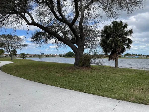a view of a trees with a yard