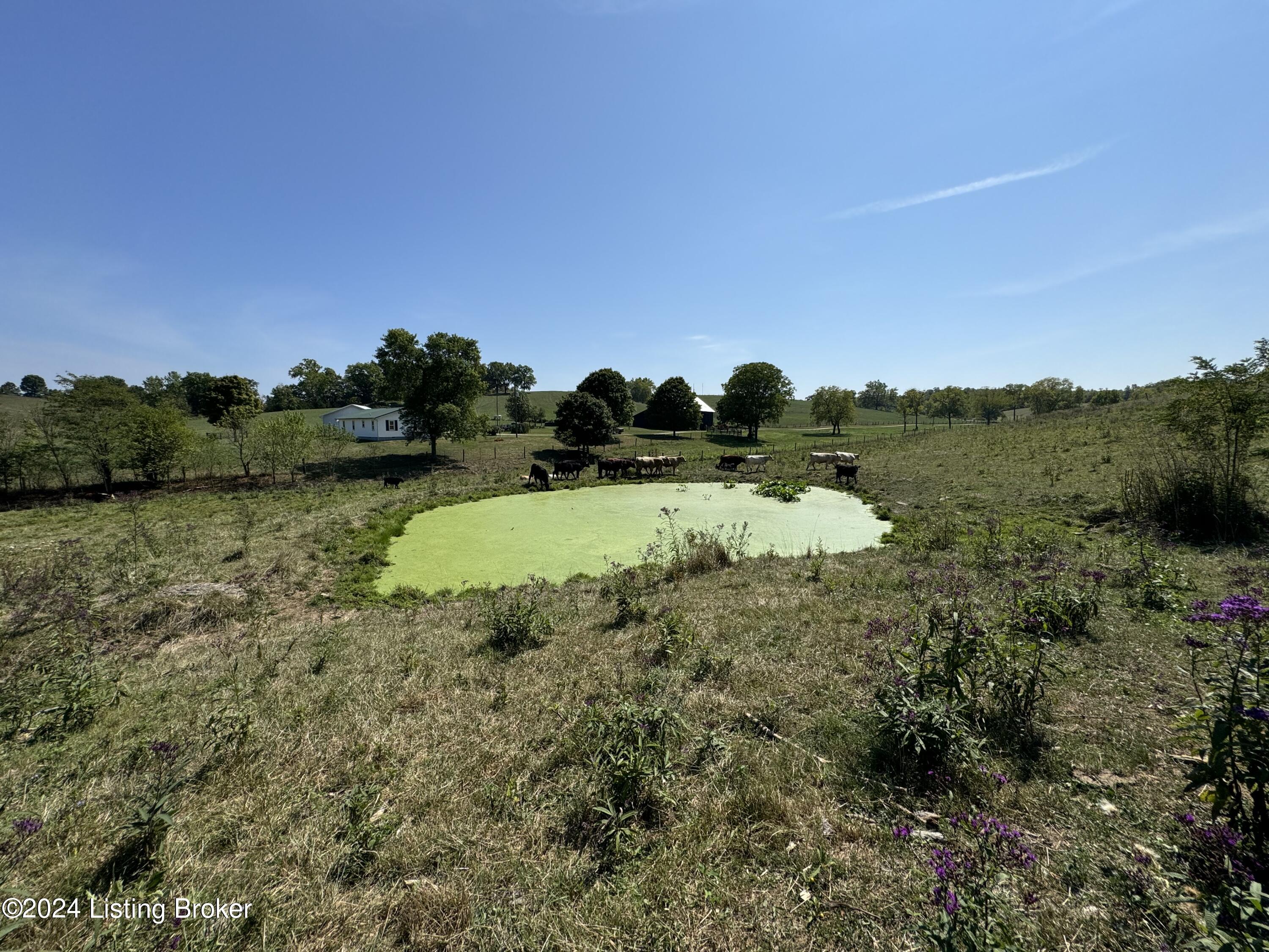 2835 Orchard Road Hillsboro, KY 41049 - Photo 57 of 78 IMG_2639