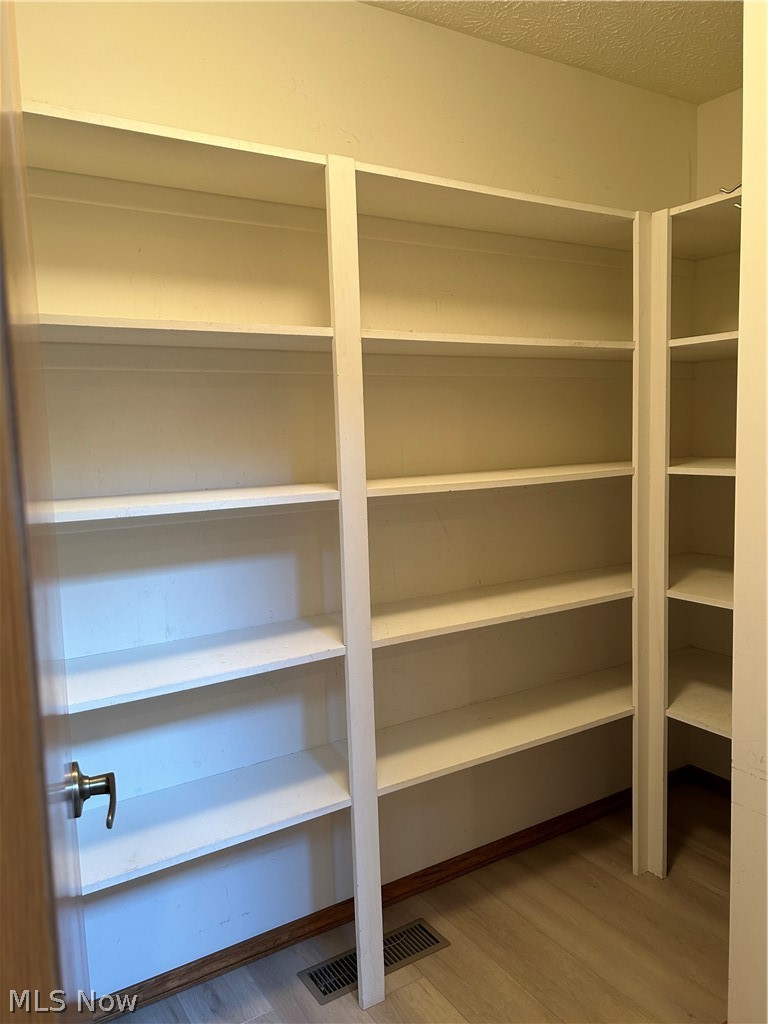 8763 Timber Edge Drive North Ridgeville, OH 44039 - Photo 11 of 40 View of pantry