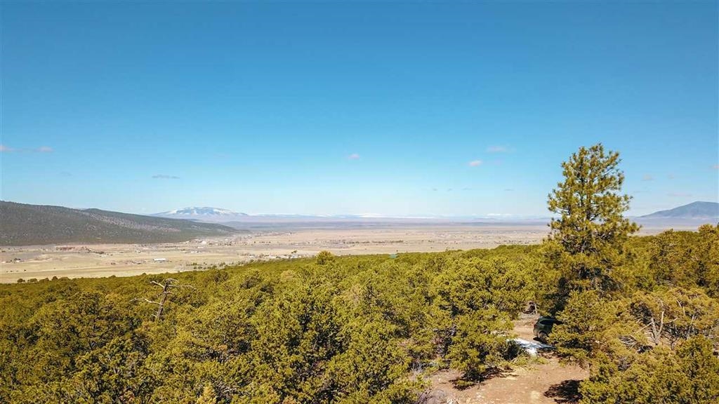 Lot 41 Lower Pinabete Road Questa, NM 87556 - Photo 4 of 16