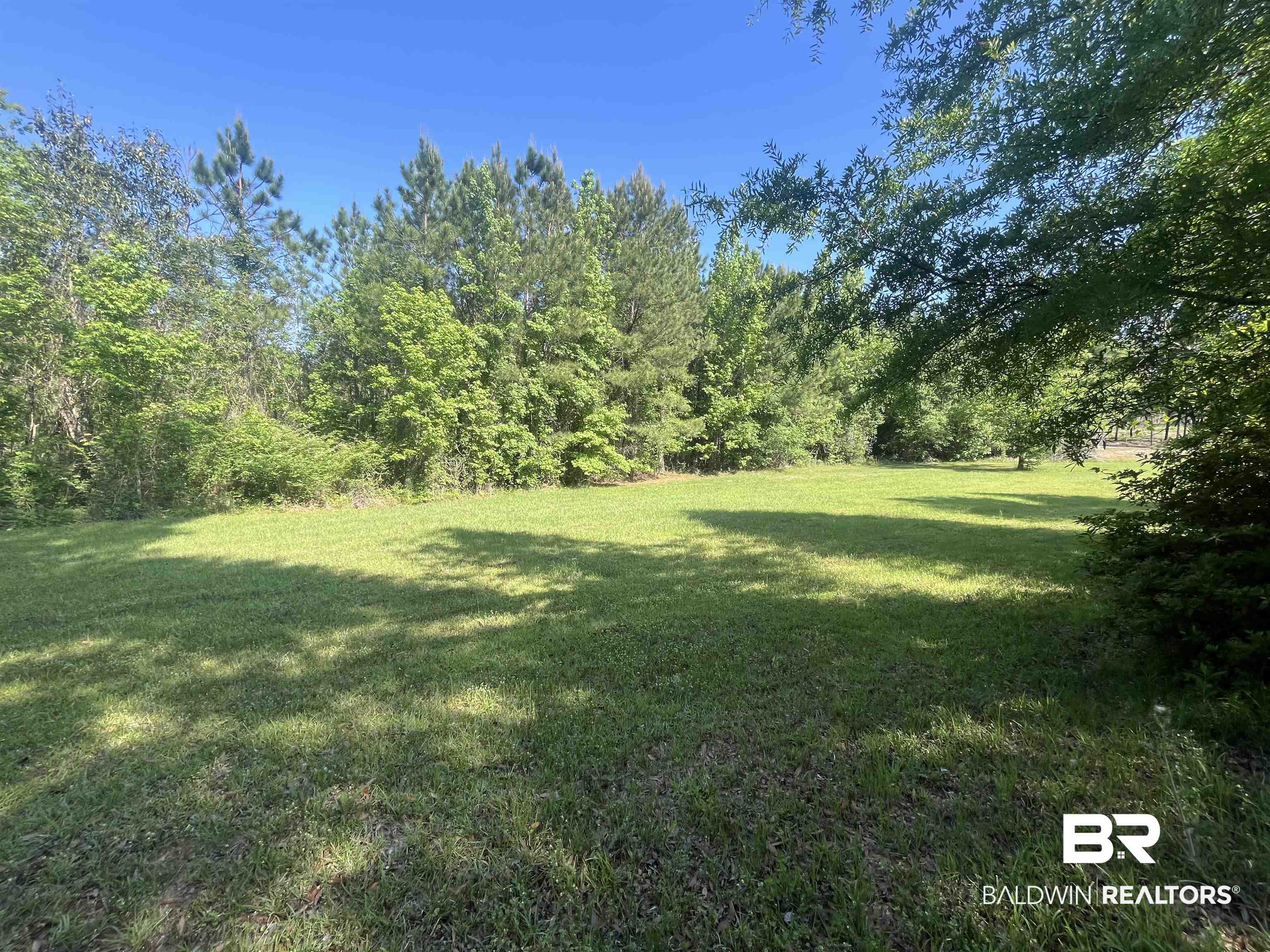 315 Dawkins Road Brewton, AL 36426 - Photo 8 of 19 View of yard